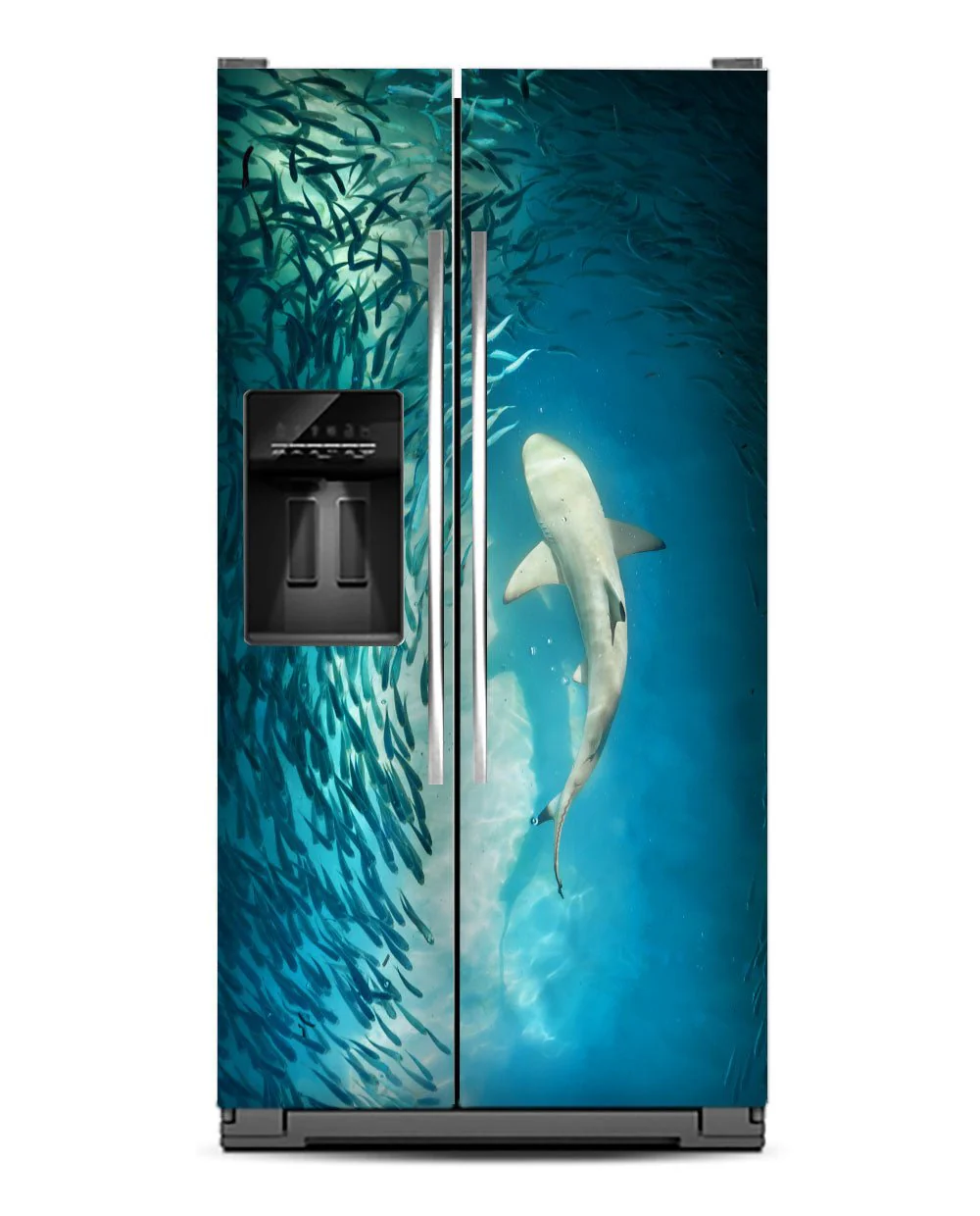 Shark - Image 11