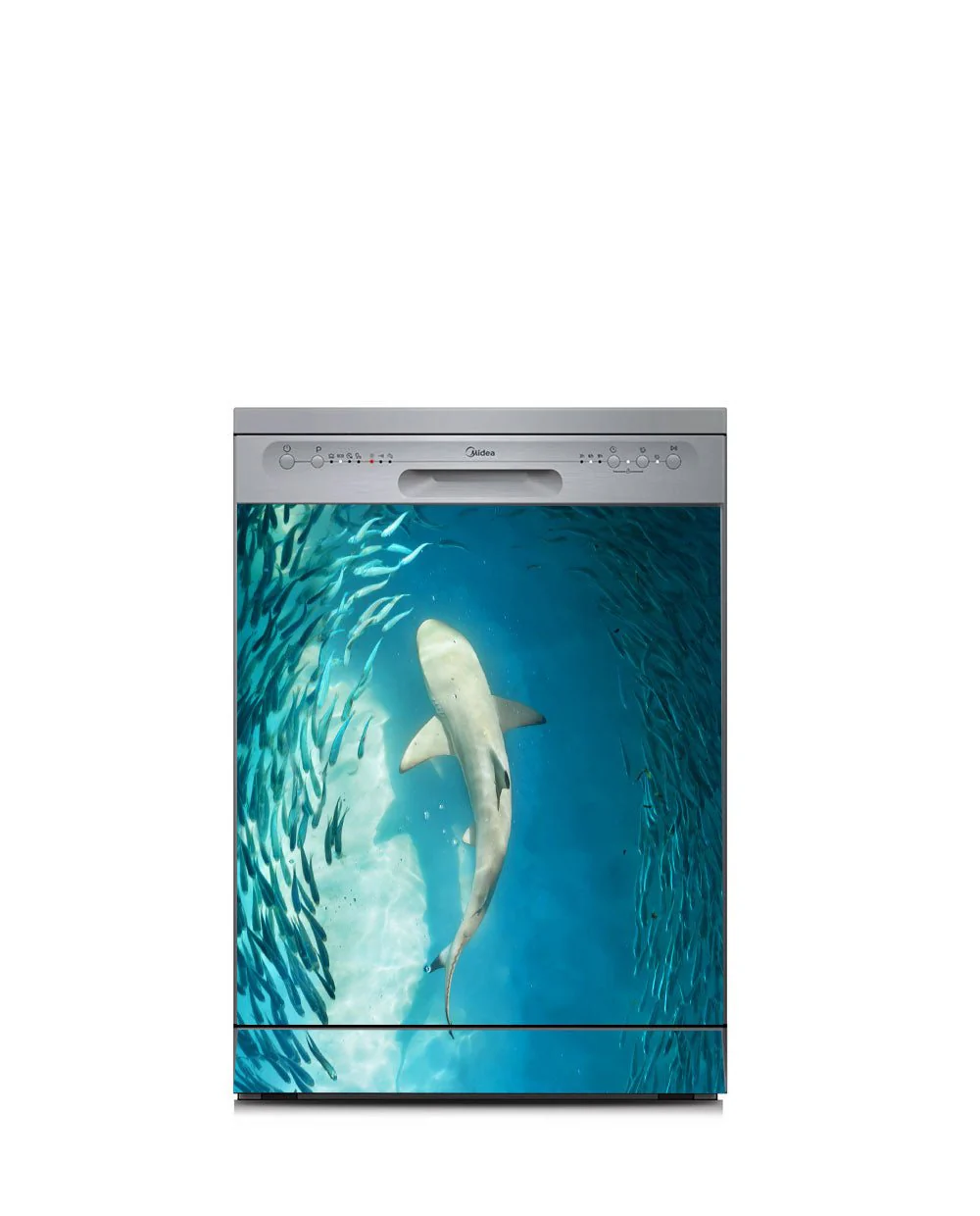 Shark - Image 3