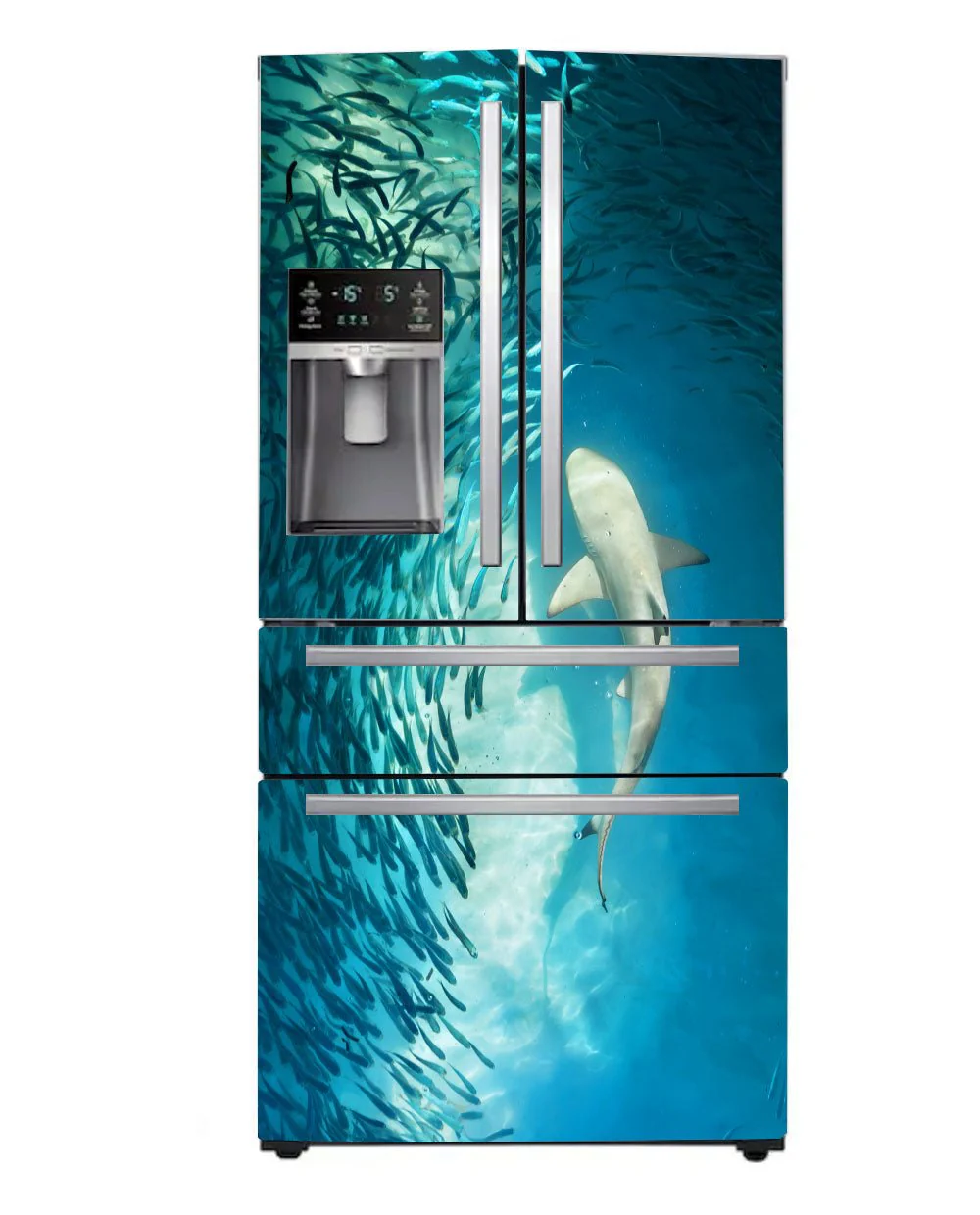 Shark - Image 4