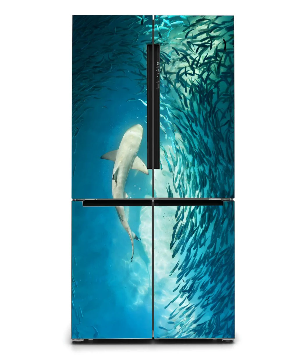 Shark - Image 5