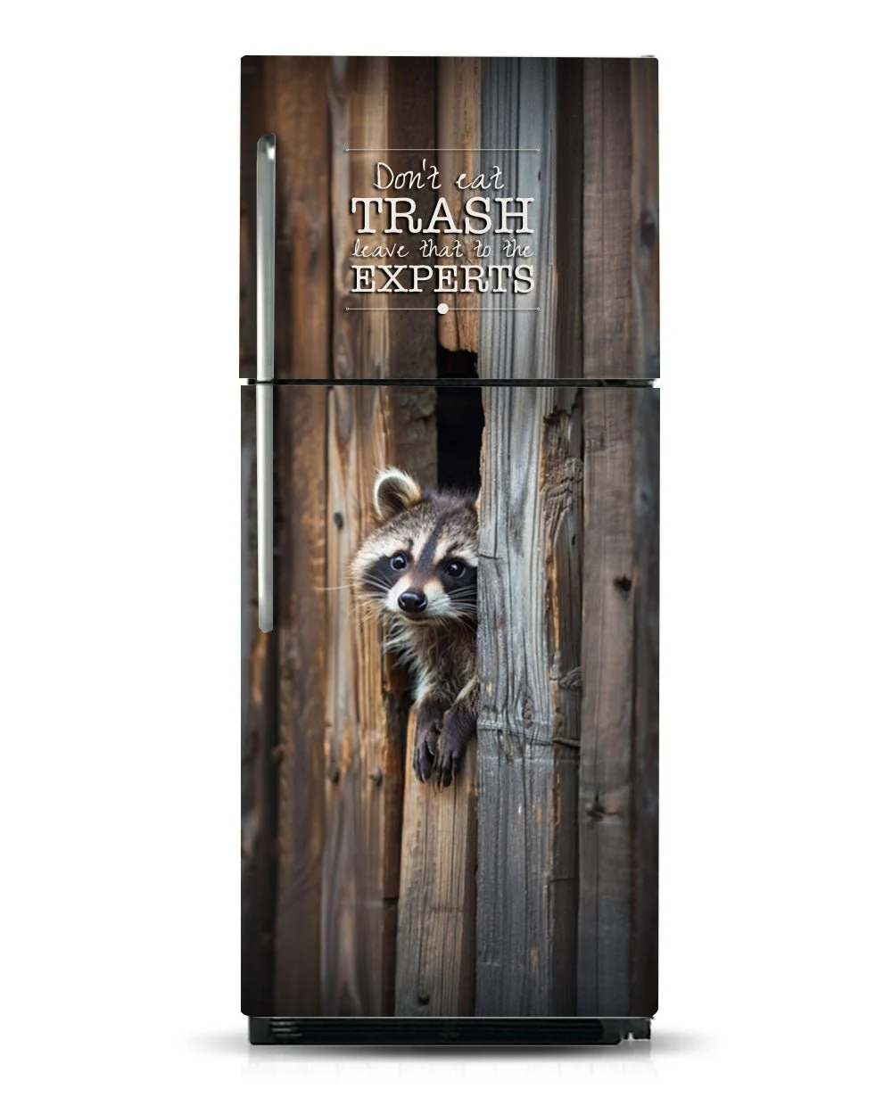 Smart Raccoon - Image 10