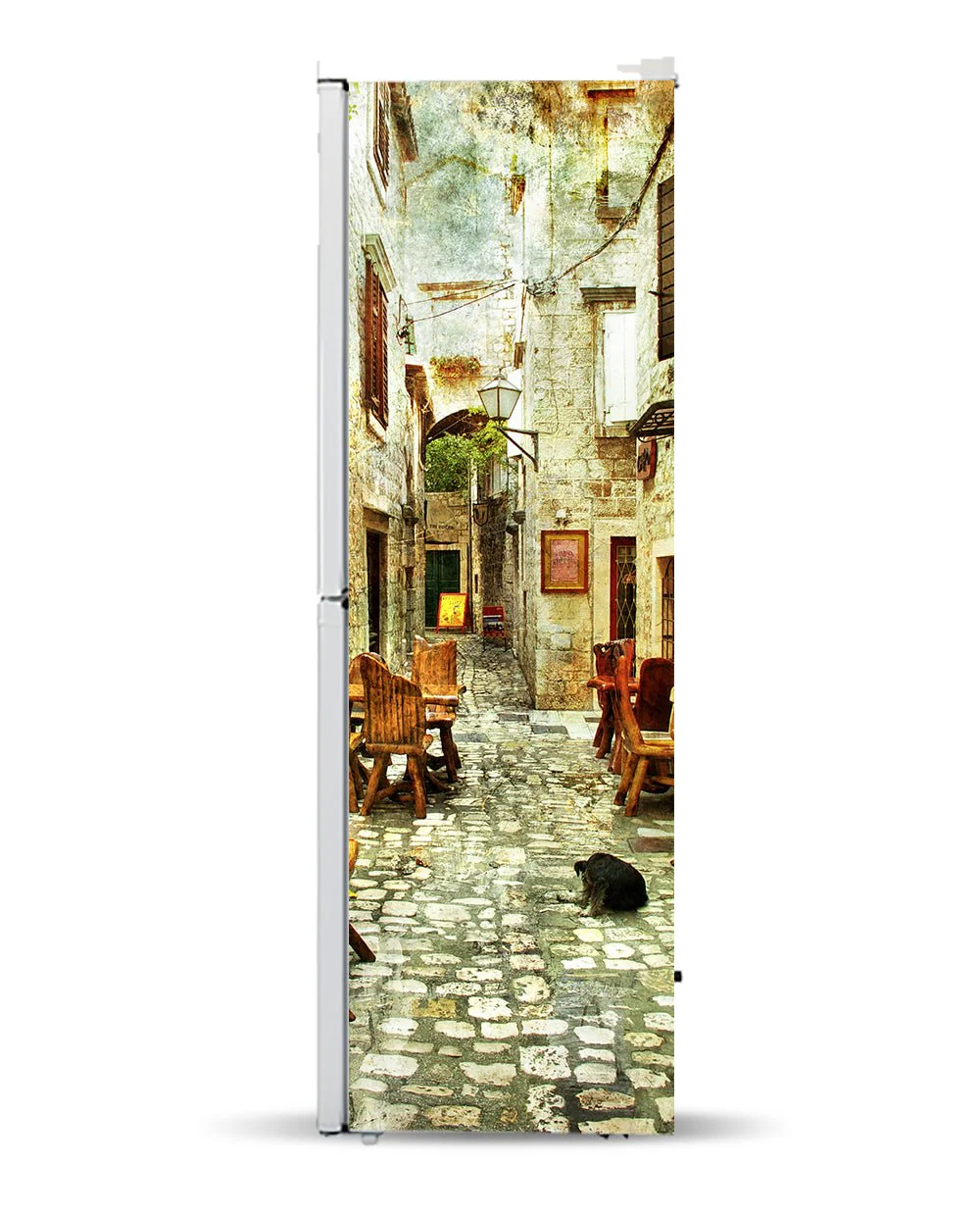 Street dog - Image 7