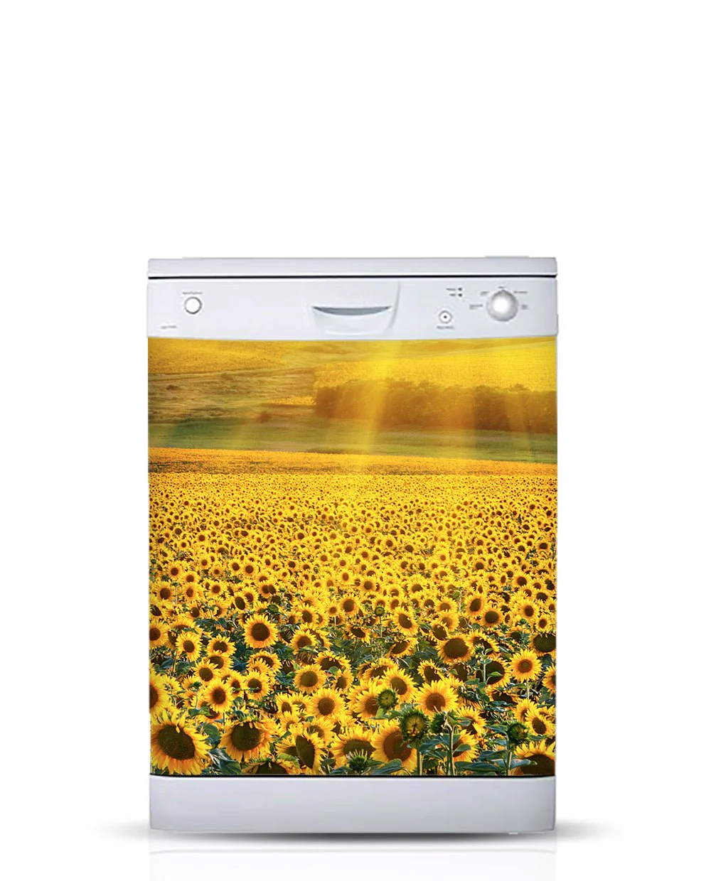 Sunflowers Field - Image 3