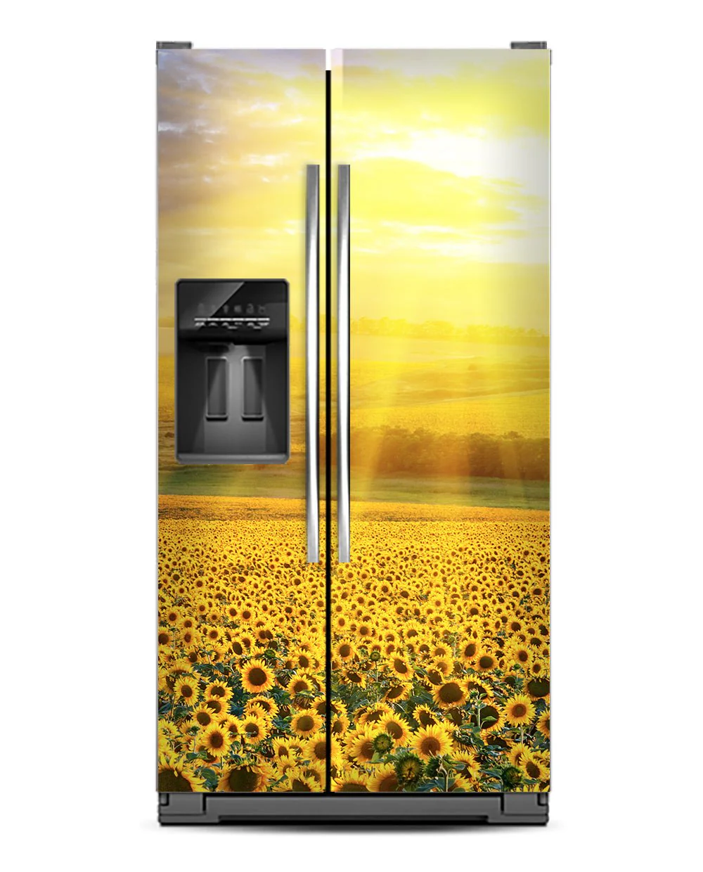 Sunflowers Field - Image 5