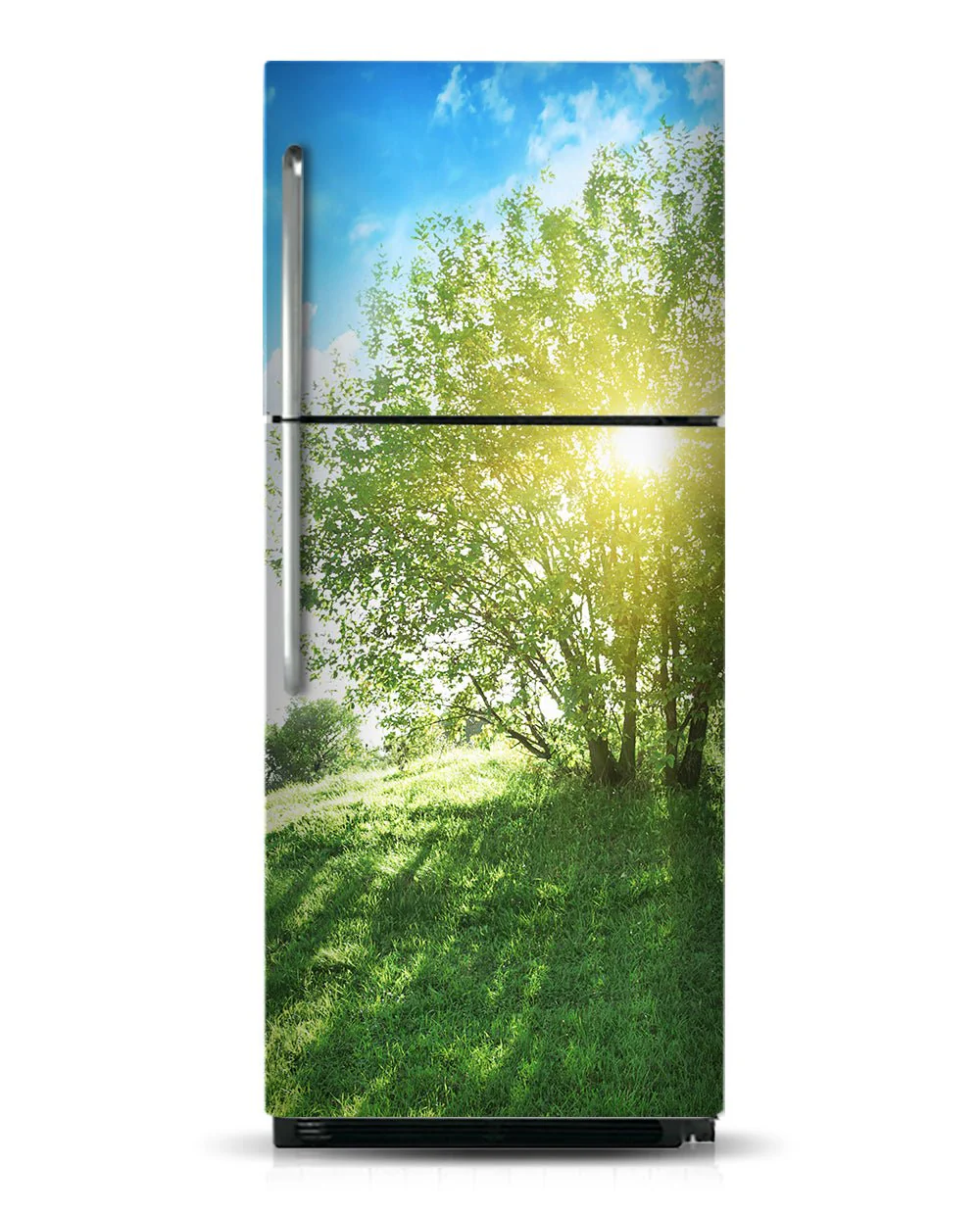Sunny tree - Image 3