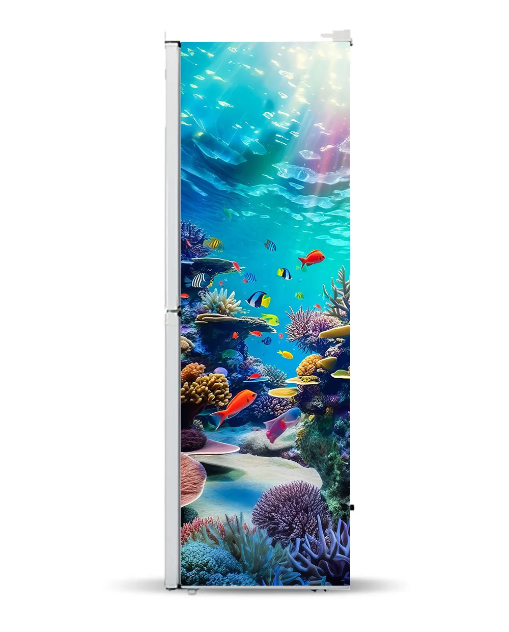 The red sea - Image 10