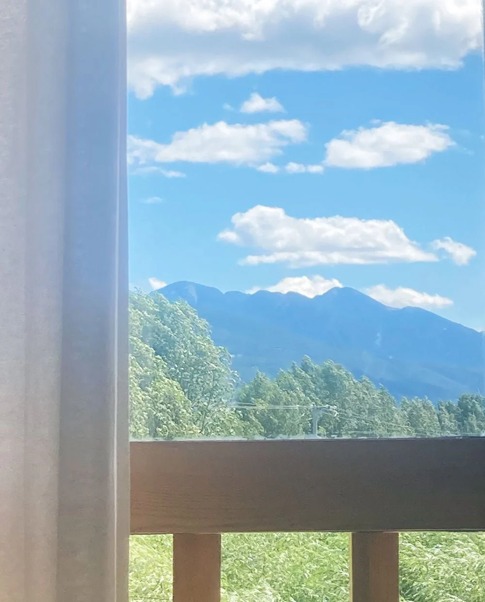 The window - Image 3