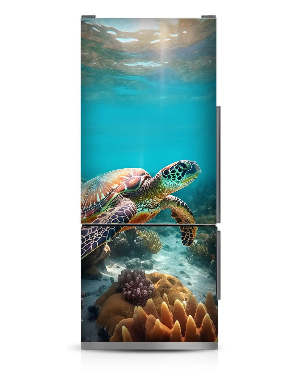 Turtle - Image 10