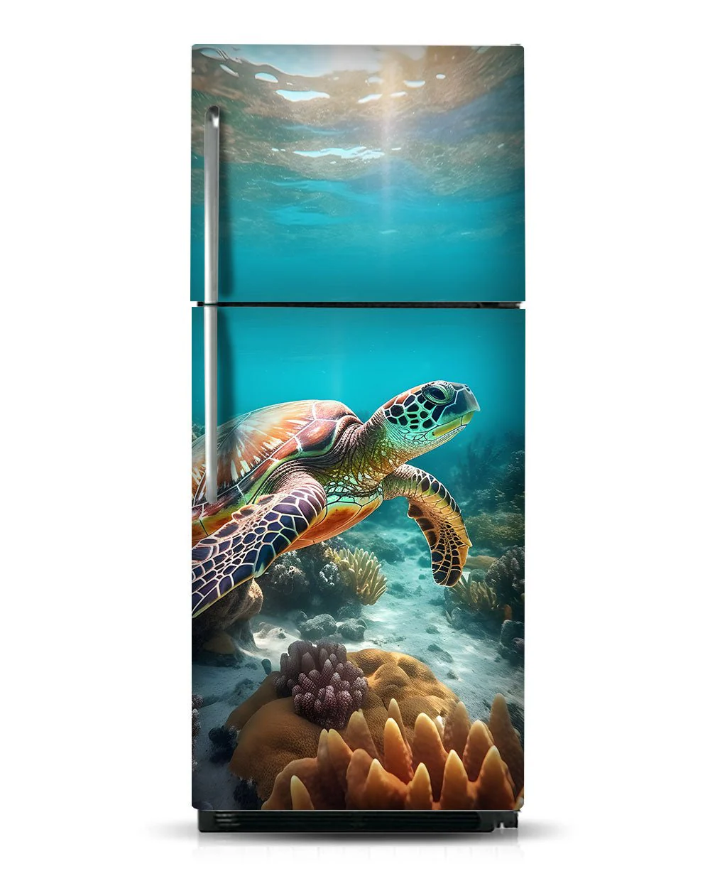Turtle - Image 11