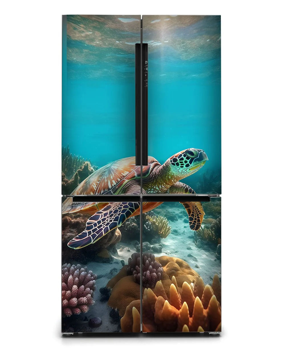 Turtle - Image 5