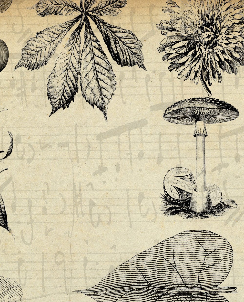 Vintage Floral - Image 5