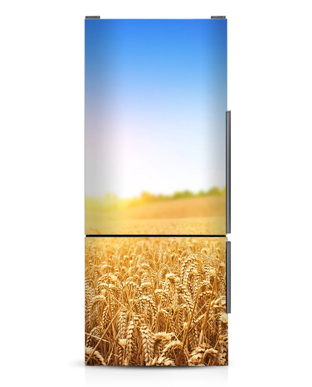 Wheat - Image 6