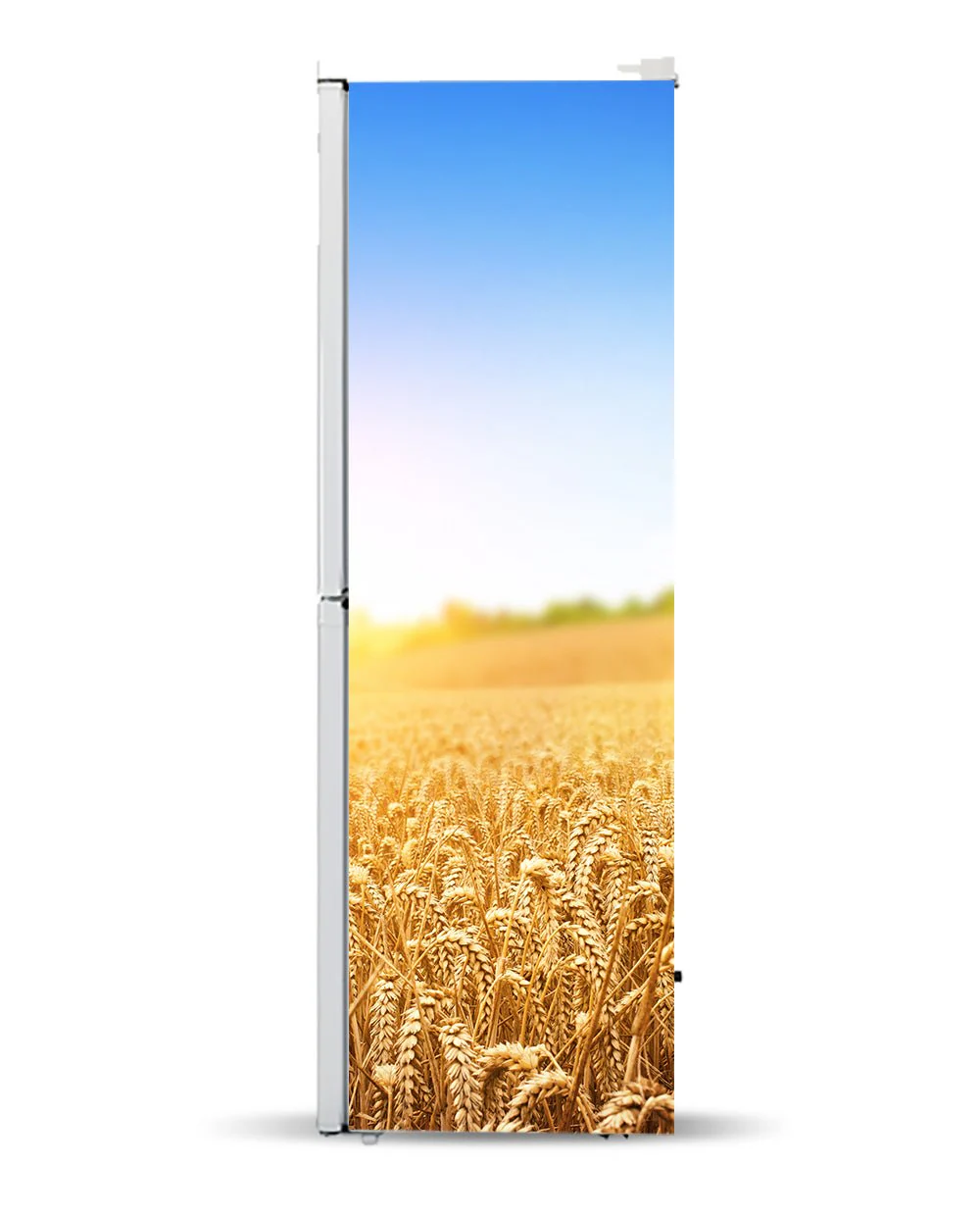 Wheat - Image 7