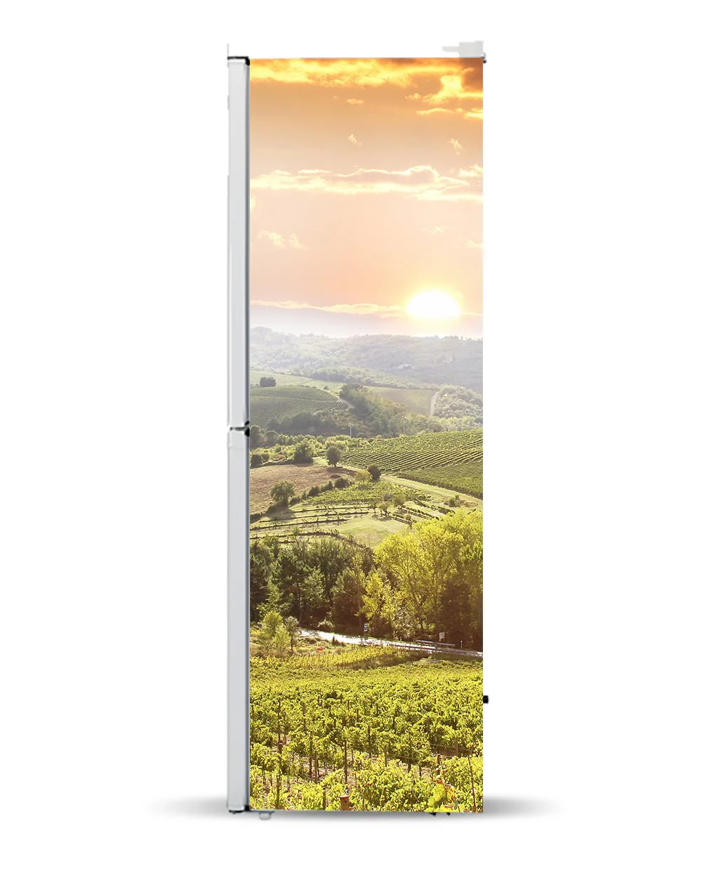 Winery - Image 7
