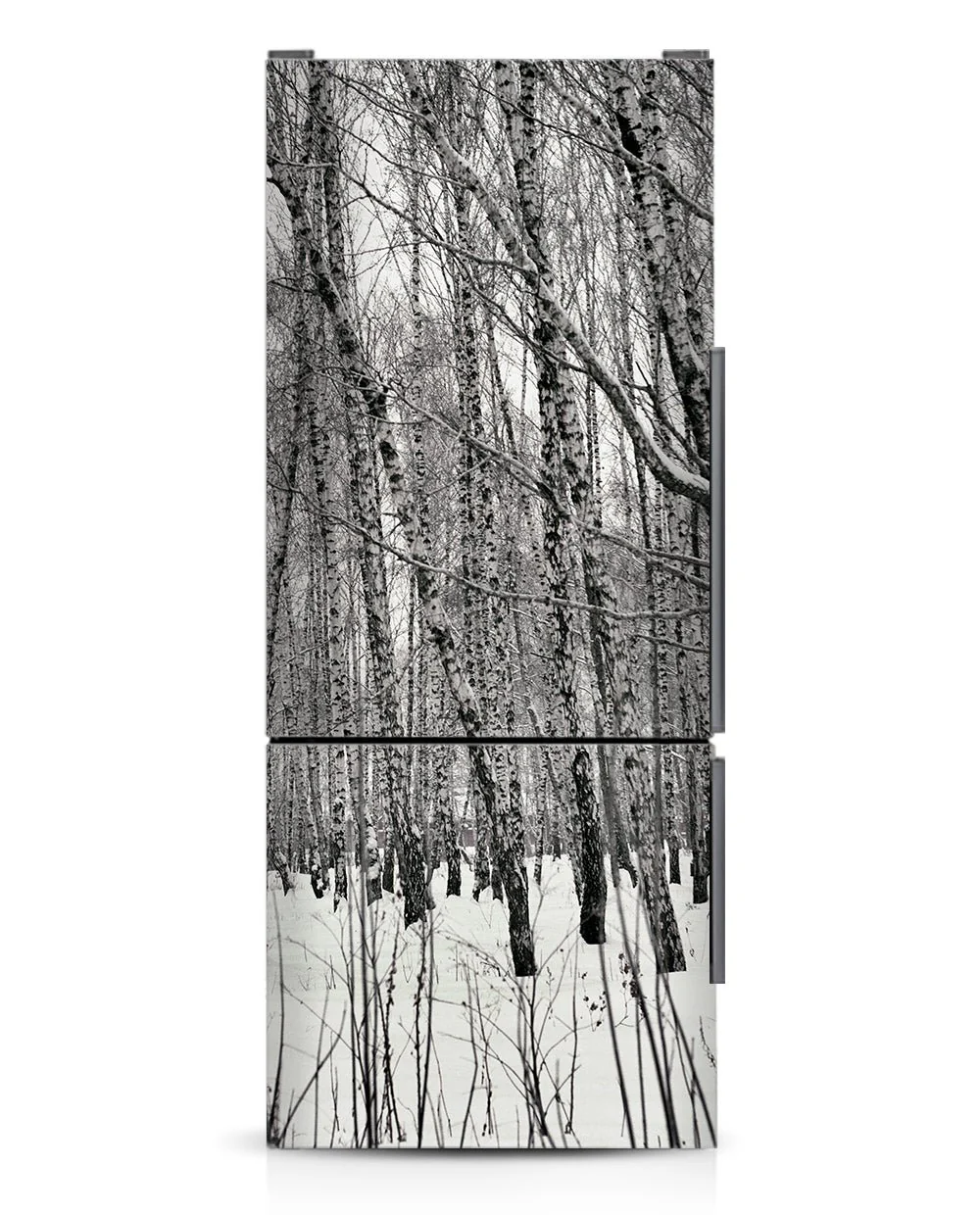 Winter birches - Image 6