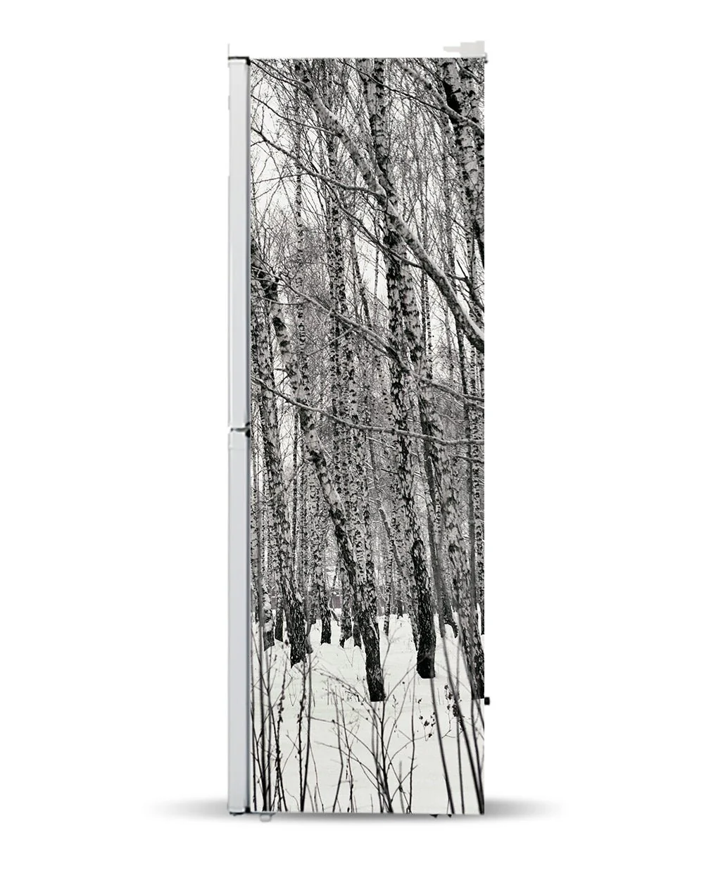 Winter birches - Image 7